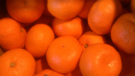 野菜