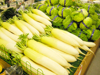 野菜